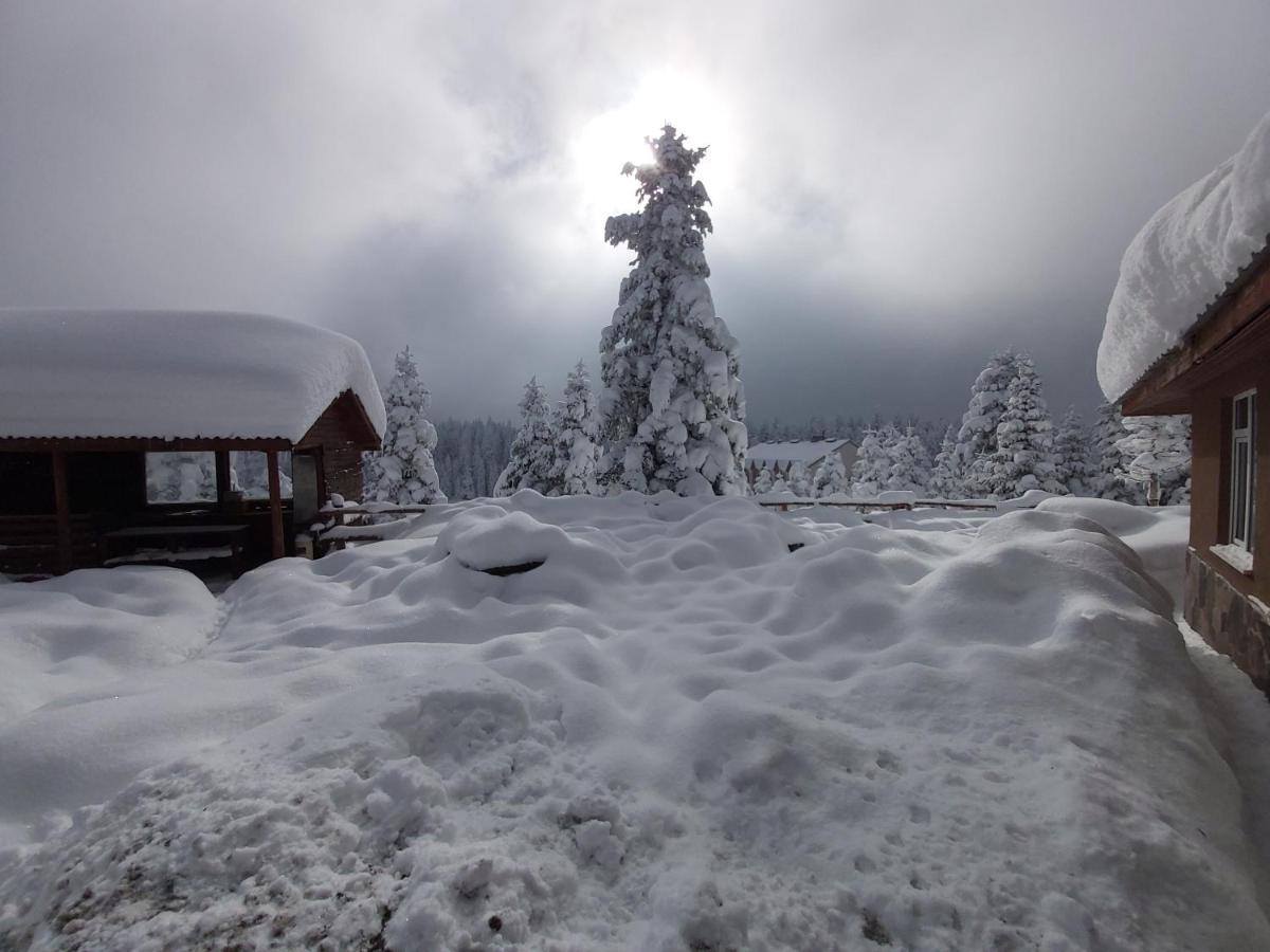 Elifim Resort Hotel Bolu Eksteriør bilde