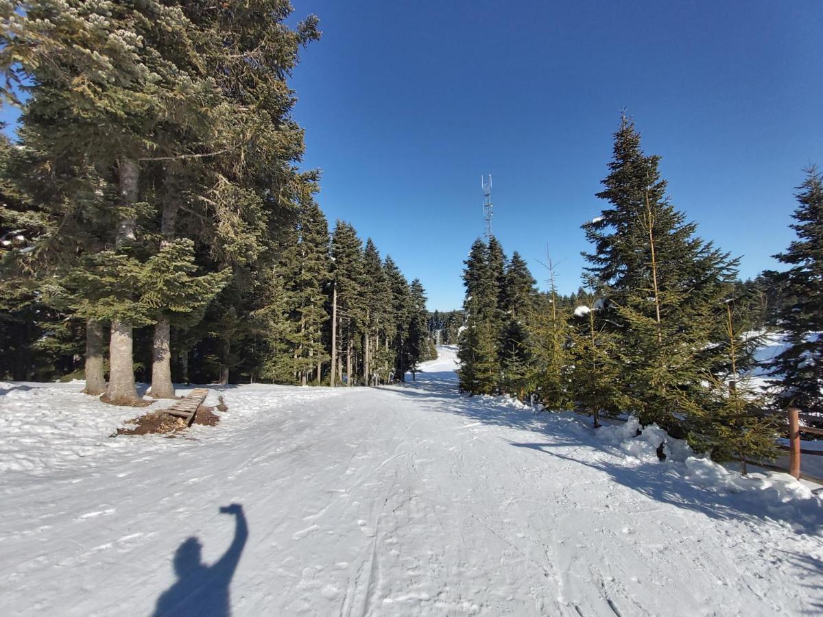 Elifim Resort Hotel Bolu Eksteriør bilde
