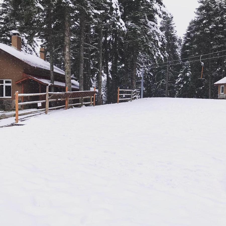 Elifim Resort Hotel Bolu Eksteriør bilde