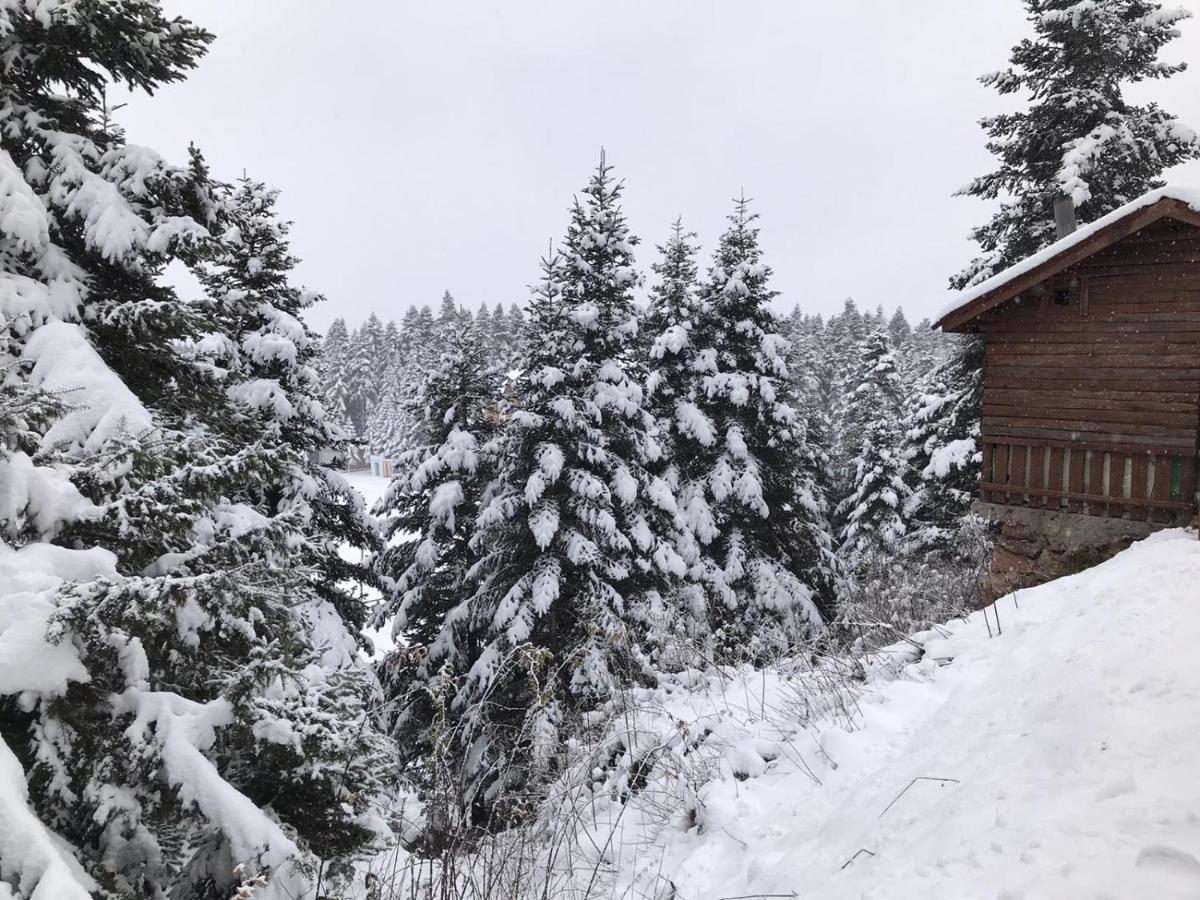 Elifim Resort Hotel Bolu Eksteriør bilde